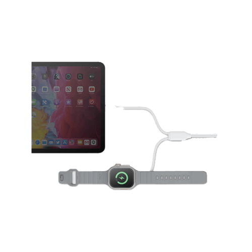 Bazic GoCharge Deuce USB-C to USB-C With Apple Watch Charger 60W 480Mbps Cable 1.8M - White