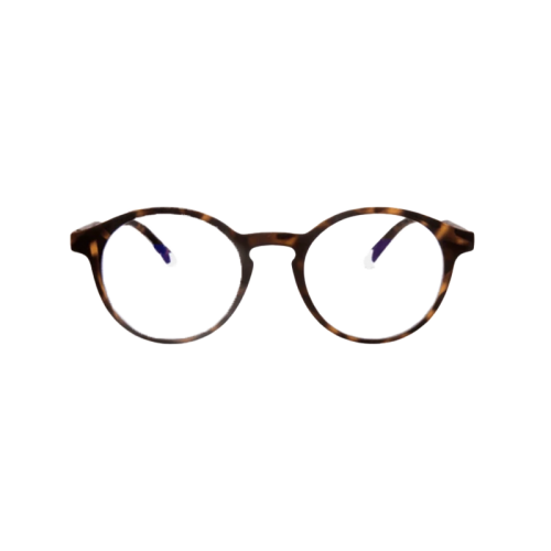Barner Le Marais Man Screen Glasses -  Tortoise